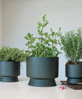 Recycled Flower Pot, Green, 9.4" by Rosendahl