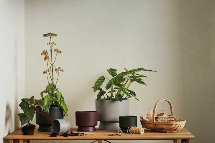 Recycled Flower Pot, 4.7" by Rosendahl