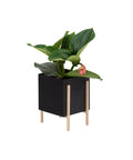 Botanic Collection, Pot by Design House Stockholm