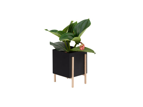 Botanic Collection, Pot by Design House Stockholm