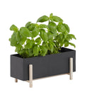 Botanic Collection, Box by Design House Stockholm