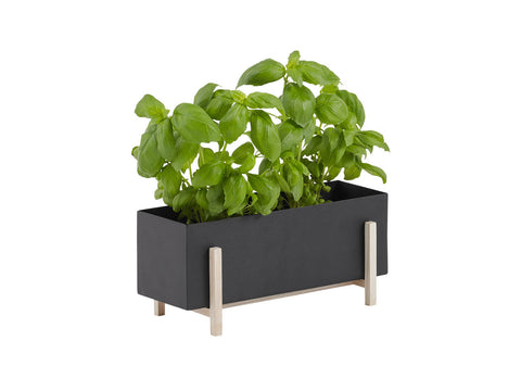 Botanic Collection, Box by Design House Stockholm