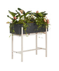 Botanic Collection, Pedestal Stand by Design House Stockholm