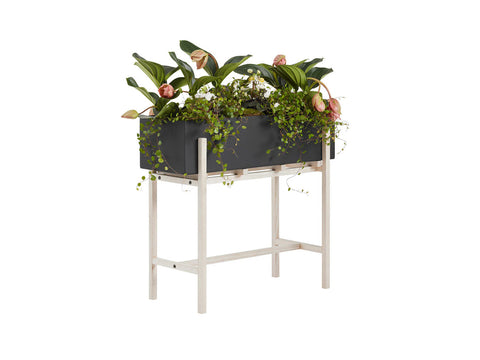 Botanic Collection, Pedestal Stand by Design House Stockholm