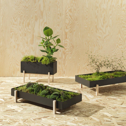 Botanic Collection, Pot by Design House Stockholm