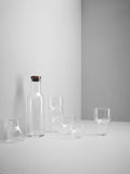 Bottle Carafe, 34oz by Audo Copenhagen