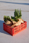 HAY Colour Crate, Medium, Red, recycled plastic storage crate, holding potted herbs wrapped in kraft paper on a concrete floor