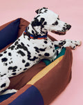HAY Dog Collar Flat, M/L, Red and Blue, flat woven polyester dog collar, worn by a dalmatian lying in a brown and navy dog bed