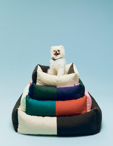 HAY Dog Bed Zip, Large, Black, White, recycled polyester dog beds, stacked in several colours with a small white dog on top
