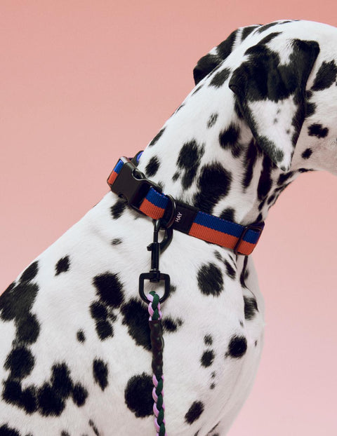 HAY Dog Collar Flat, M/L, Red and Blue, flat woven polyester dog collar, worn by a dalmatian on pink with a braided lilac leash