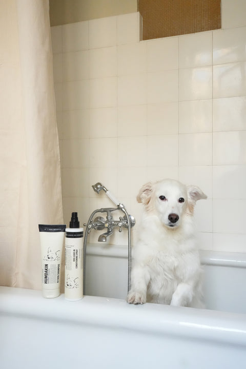 Humdakin Dog Leave in Conditioning Spray, leave-in dog conditioner, on the edge of a white tiled bathtub with a small white dog and the Dog Shampoo tube