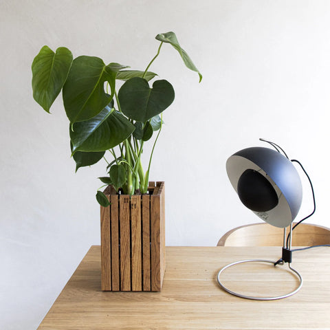 Wood Slat Planter on Desk