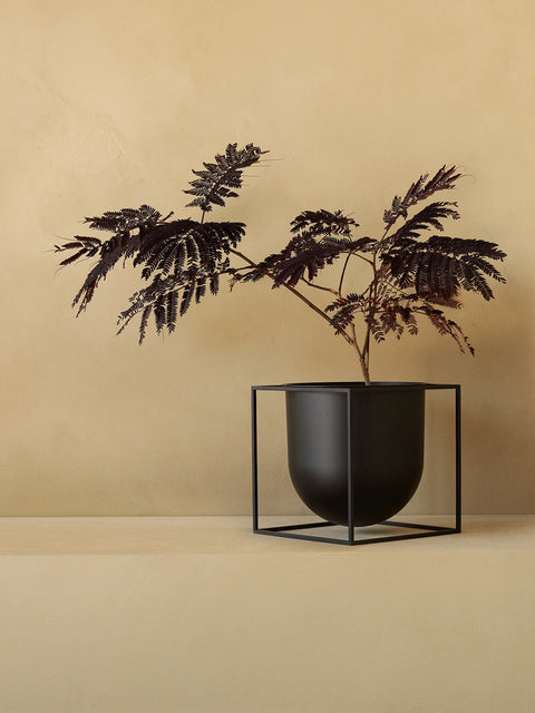 black metal flower pot by danish designer mogens lassen with a tree like plant for audo copenhagen