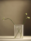 Stylish Muuto Ridge Vase for modern interior styling