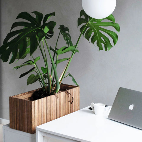 Danish Wood Planters