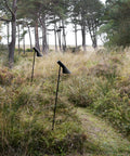 black outdoor lighting for a pathway