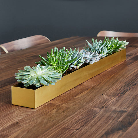 Vessel Planter by Gus* Modern