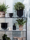 metal and ceramic flowerpots on a metal stand 