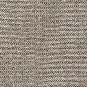 Swatch Capture Fabric 5103