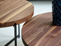 DK3 Plateau Coffee and Side Table in walnut, close view of the solid wood tops and black steel base