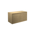 DK3 Royal System cabinet with two push doors and a woven wood front in lacquered oak, on a white background
