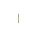 DK3 Royal System wall rail in lacquered oak, 27.6" long, on a white background