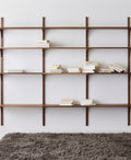 DK3 System Cado shelves in smoked oak on wall rails, front view