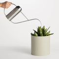 Li'l Dripdrop Watering Can by Blu Dot in polished stainless steel, shown in use watering a plant