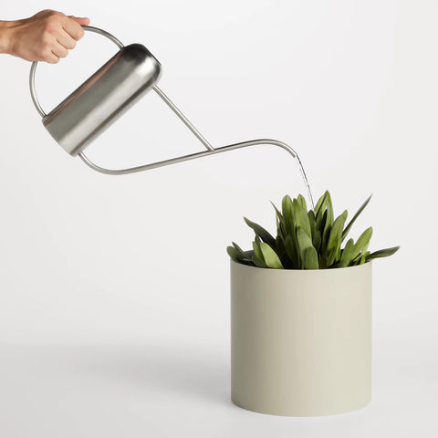 Li'l Dripdrop Watering Can by Blu Dot in polished stainless steel, shown in use watering a plant