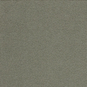 Swatch Tonus Fabric 613