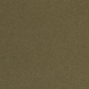 Swatch Divina Fabric 356