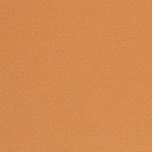 Swatch Divina Fabric 526