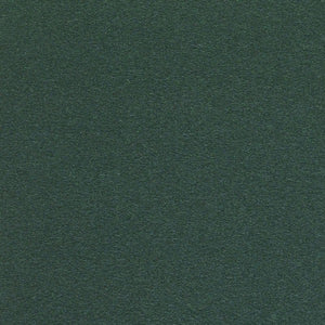 Swatch Divina Fabric 886