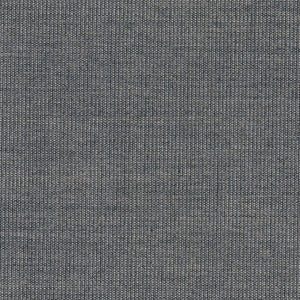 Swatch Canvas Fabric 0134