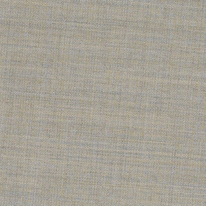 Swatch Canvas Fabric 0224