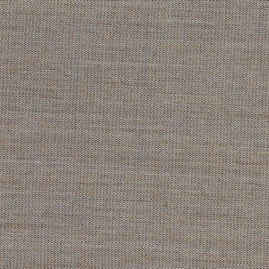 Swatch Canvas Fabric 0244