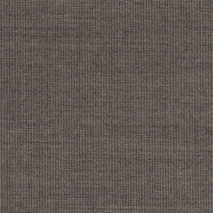 Swatch Canvas Fabric 0264