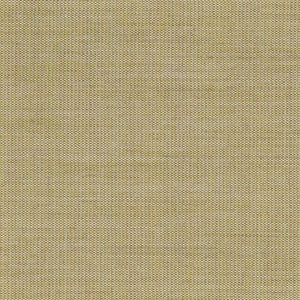Swatch Canvas Fabric 0414