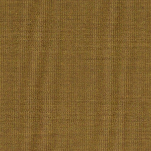 Swatch Canvas Fabric 0424