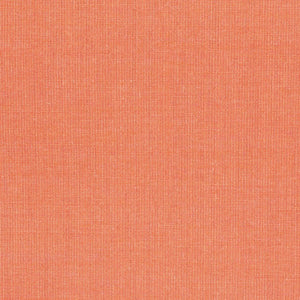 Swatch Canvas Fabric 0546