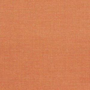 Swatch Canvas Fabric 0556