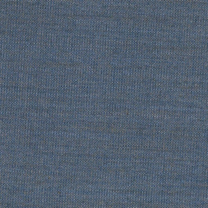 Swatch Canvas Fabric 0734