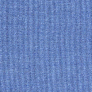 Swatch Canvas Fabric 0746