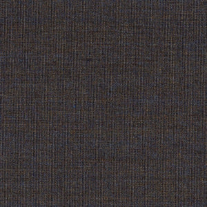 Swatch Canvas Fabric 0764