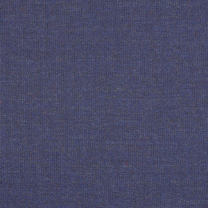 Swatch Canvas Fabric 0786