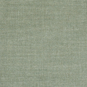 Swatch Canvas Fabric 0926