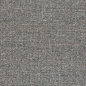 Swatch Canvas Fabric 0936