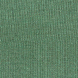 Swatch Canvas Fabric 0946