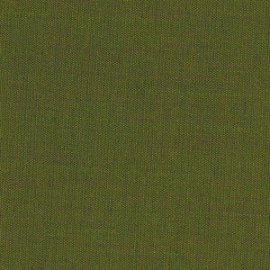 Swatch Canvas Fabric 0954