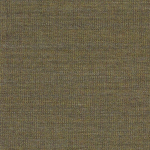 Swatch Canvas Fabric 0964